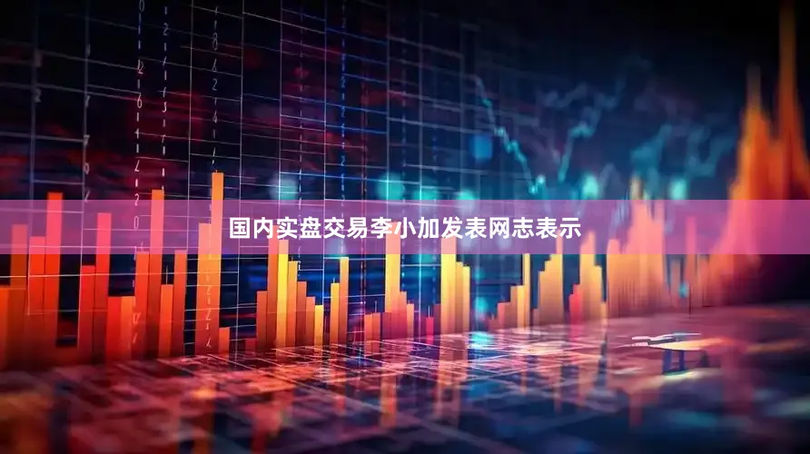 国内实盘交易　　李小加发表网志表示
