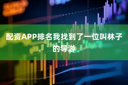 配资APP排名我找到了一位叫林子的导游