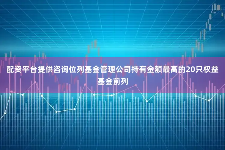 配资平台提供咨询位列基金管理公司持有金额最高的20只权益基金前列